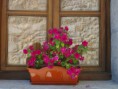 /album/fotogaleria/g-maceta-ventana-jpg/