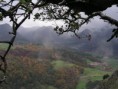 /album/fotogaleria/otonada-jpg/